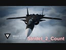 Ace Combat 7 Extra197 バトルロイヤル Mr. Countとのタイマン総集編