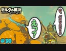 【続編決定記念】のんびりと伝説「ゼルダの伝説～ブレスオブザワイルド～」　＃30