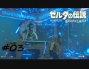 【ゼルダの伝説BotW】記憶喪失だけどちょっと世界救ってくるPart3【実況】