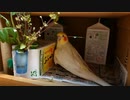 カメラ目線よりも食欲が勝った日