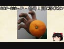 ゆっくりと一緒にSCPを紹介したい！その68【SCP】