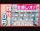 【コスパ最強！】多頭飼いしているレオパ達の餌代が安すぎた！【自家繁殖】
