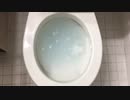 ぬるぬるスライムをトイレに流してみた