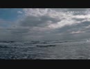 ホモと見る任天堂に親を殺された男　新型コロナウイルスに恐れて動画を出す