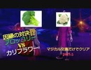 【マジポケ】マジカル交換だけでポケモン剣盾 part5