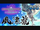 MHP2G勢がMHWIやってみた　その55