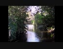 【音楽と景観】 東京緑地#14｢南沢緑地、南沢水辺公園周辺｣