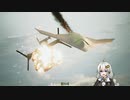 【ACE COMBAT 7】未知なる空のただ中で Part 4【VOICEROID実況】