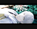 【MMD刀剣乱舞】眠るきみに贈る【鶴丸国永＋a】