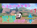 【実況】だまむのポケモン愛護のたび＃７