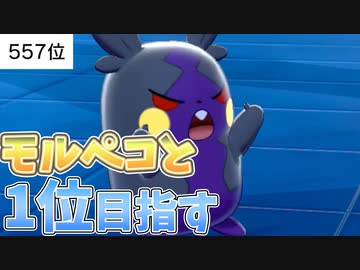 ポケモン 剣 盾 モルペコ