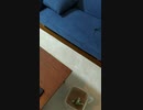 ソファーのしたにロボ