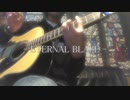 【弾き語り】ETERNAL BLAZE / 水樹奈々 ～Covered by Nerine～