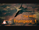 Ace Combat 7 Extra201 バトルロイヤル Trumpere氏とのタイマン総集編