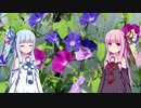 朝顔と琴葉姉妹（他２本立て）【VOICEROID劇場】