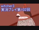 探し人を求めてwitcher3実況プレイ第102回