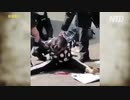 感染者を 拉致監禁・拘束隔離、殴る蹴るの暴行も辞さず