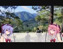 本日もゆるポタです。3(天空の茶畑ライド前編)