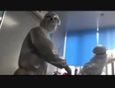 武漢は死と隣合わせの街に...他所から村に入れない...病院でも死者多数