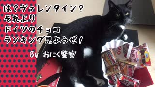 【ねことドイチ】ドイツの売り上げベスト3チョコ発表！！&へばりつくおにく警察&私のデジタルペイント初作品