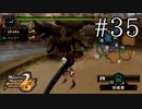 見た目で損してるタイプ【MHP2G】#35