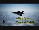 Ace Combat 7 Multiplayer628 バトルロイヤル Mirage 2000-5 + 4AAM