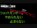 【R6S】SGがやめられない止まらない[愉快なメンツとYYプレイ]