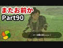 【実況】今年で定年を迎える父をハイラルの大地に放り込むPart90【ゼルダの伝説BotW】