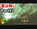 【実況】今年で定年を迎える父をハイラルの大地に放り込むPart91【ゼルダの伝説BotW】