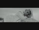 Alexandra Stan - Obsesii