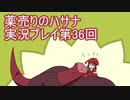 絶対弟を助けるぞ！　薬売りのハサナ実況プレイ第36回