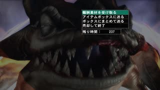 【初見】サービス終了までに最強の奴らを狩りまくるMHF-Z実況！ Part１１