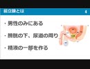 前立腺癌とは①！症状、治療、PSA検査、骨転移、特徴、予防法など分かりやすく紹介【8分で解説】