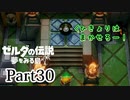 求むー「ゼル伝」のプロー【ゼルダの伝説　夢をみる島】 part30