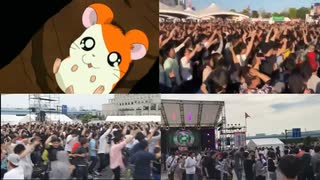 ハム太郎とっとこうた