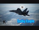 Ace Combat 7 Multiplayer631 バトルロイヤル F-15C + PLSL
