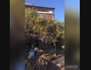 令和2年2月2日　岩間邸に行きました