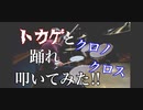 【トカゲと踊れ】　クロノ・クロス　叩いてみた！