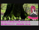 【サブコンテンツちほー】おまめ！