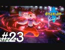 【実況】一時の感情でルールを課していくポケモン(剣)【ポケモン剣盾】#23