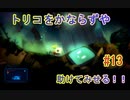【 初めてのテラリウム】void tRrLM(); //ボイド・テラリウム　part13
