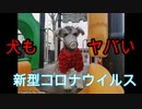 【世界が】新型コロナウイルス最新情報まとめ20200203【ヤバい】