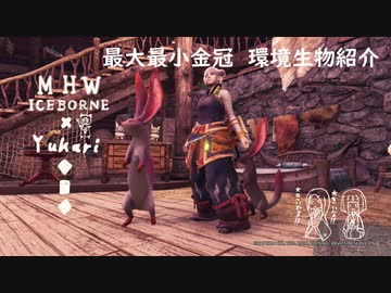 【MHWI】環境生物最大最小金冠紹介2ミチビキウサギ