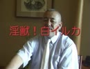 白イルカ　ロングインタビュー