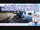 【ARK】乱〇郎と大空スバルのものまねをする天音かなた【ホロライブ】