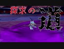 【ポケモン剣盾】繰り返す猿真似と探求の道