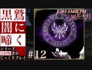 【FE風花雪月】黒鷲闇に啼く - 未経験者じっくりプレイ【#12】