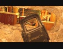 【実況】FPSド素人でも楽しく1キル目指してレインボーシックスシージ part37