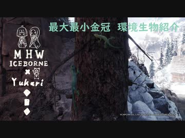 【MHWI】環境生物最大最小金冠紹介3モリゲッコー