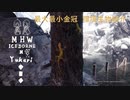 【MHWI】環境生物最大最小金冠紹介4アリヅカゲッコー